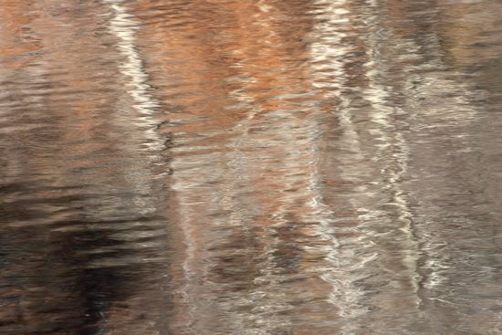 Fort Payne;Alabama;Little River Canyon National Preserve;Textures;Shapes;Patterns;Abstractions;Abstract;Reflections;Reflection;Autumn;Seasons;Fall